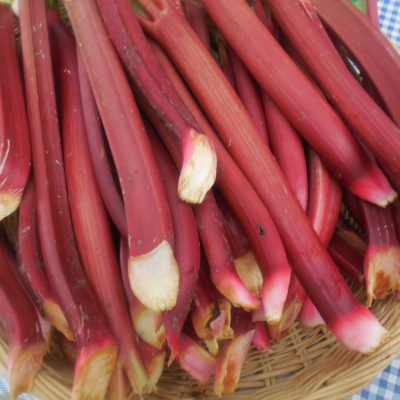 Rhubarb