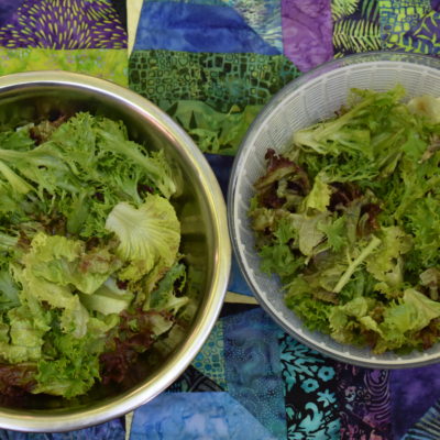 lettuce